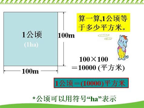 一公頃 幾甲|線上公頃換算甲轉換器，附上完整的公頃轉甲換算表和計算公式